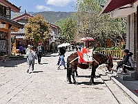 2018 Shuhe Village, Yunnan, China